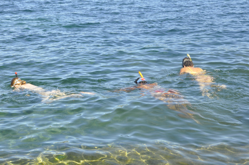 Common Dreams Flotation school PANAREA